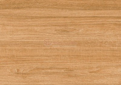 Gạch Ốp Lát APODIO 61332009